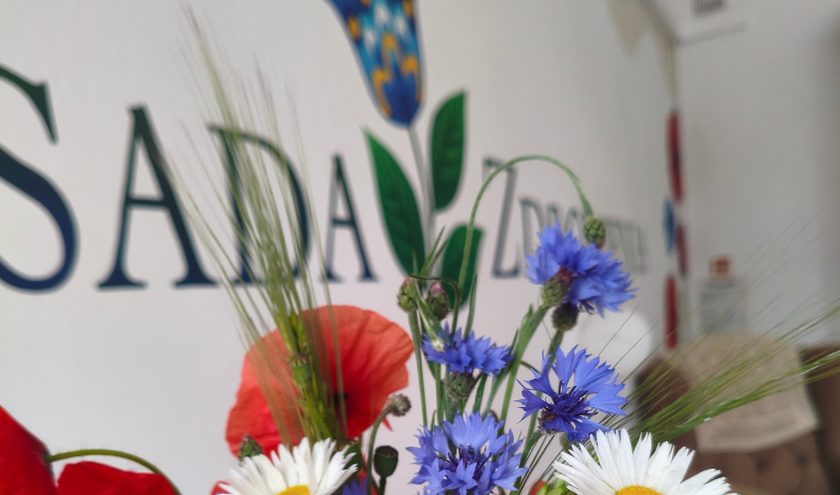 Powrót do Korzeni: Mądrość Przodków i Naturalne Zdrowienie