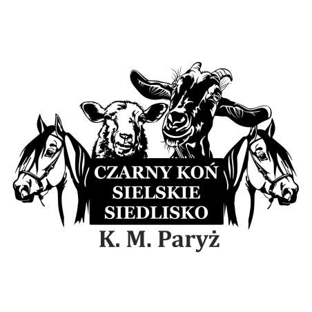 Czarny Koń Sielskie Siedlisko