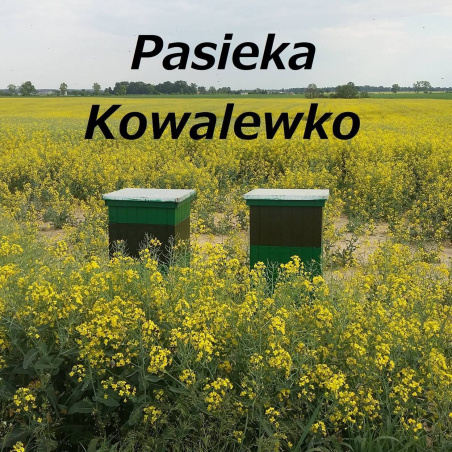 Pasieka Kowalewko